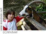 Wildgehege, Naturpark Weinidylle Wildgehege, Naturpark Weinidylle