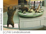 NÖ Landesmuseum Biotop Wald ü NÖ Landesmuseum Biotop Wald ü