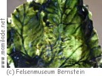 Felsenmuseum Bernstein Felsenmuseum Bernstein