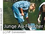 NP Donauauen, Junge Forscher NP Donauauen, Junge Forscher