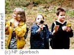 Naturpark Sparbach, Schule Naturpark Sparbach, Schule