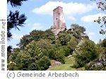 Ruine Arbesbach m