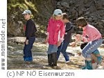 NP NÖ Eisenwurzen NP NÖ Eisenwurzen
