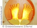 ErlebnisSennerei Zillertal ü ErlebnisSennerei Zillertal ü
