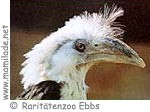 Raritätenzoo Ebbs ü
