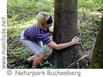 Naturpark Buchenberg Waldschule2 ü