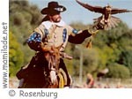 Rosenburg Pferd ü Rosenburg Pferd ü
