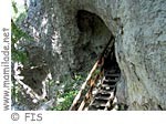 Steinwandklamm ü Steinwandklamm ü