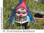 Bichlbach Zerwgerlberg m