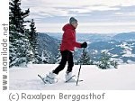 Schneeschuh wandern auf dem Raxplateau ü Schneeschuh wandern auf dem Raxplateau ü