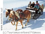 Filzmoos Pferdekutschenfahrt