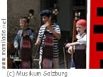 Instrumentenkiste - Saiteninstrumente Musikum Salzburg