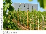 Loisium - die Welt des Weins in Langenlois ü Loisium - die Welt des Weins in Langenlois ü
