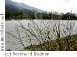 Naturschaupfad Tassenbach m Naturschaupfad Tassenbach m