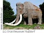 Nussdorf Urzeitmuseum ü