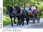 Tannheim Pferdekutschen Fam. Kleiner Tannheim Pferdekutschen Fam. Kleiner