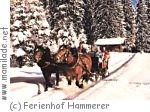 Pferdekutschen- und Pferdeschlitten-Fahrten in Hirschegg