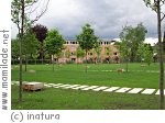 Stadtgarten Dornbirn (rund um die inatura) Stadtgarten Dornbirn (rund um die inatura)
