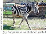 Doppelmayr Zoo Wolfurt Doppelmayr Zoo Wolfurt