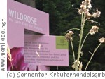 Sonnentor Kräuter-Sinnes-Erlebnis in Sprögnitz bei Zwettl Sonnentor Kräuter-Sinnes-Erlebnis in Sprögnitz bei Zwettl