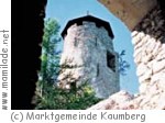 Burgruine Araburg bei Kaumberg Burgruine Araburg bei Kaumberg
