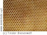 Tiroler Bienenwelt in Söll Tiroler Bienenwelt in Söll