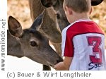 Bauer & Wirt Langthaler in Pömling Bauer & Wirt Langthaler in Pömling
