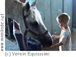 Verein Equissimi im Reitstall Triestinghof in Trumau
