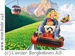 Ganzjahresrodelbahn Osttirodler am Hochstein in Lienz