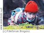 Kinderkino im Metrokino in Bregenz: Mein Freund Knerten Kinderkino im Metrokino in Bregenz: Mein Freund Knerten