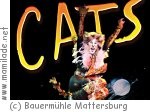 Musical-Tanzworkshop in der Bauermühle Mattersburg