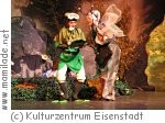 Kulturzentrum Eisenstadt: Das hässliche Entlein Kulturzentrum Eisenstadt: Das hässliche Entlein