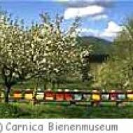 Bienenmuseum Carnica