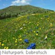 Naturpark Dobratsch
