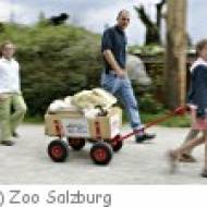 Zoo Salzburg