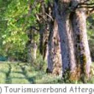 Attergau Keltenbaumweg Keltenbaumweg