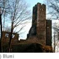 Burgruine Stauff