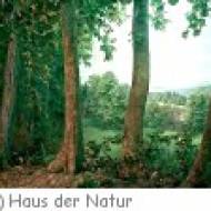Schule Salzburg Haus der Natur Wald Schule im Haus der Natur in Salzburg