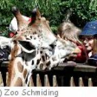 Schule Zoo Schmiding Schule im Zoo Schmiding