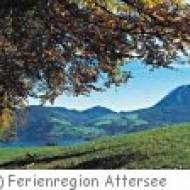 Unterach Edelkastanienwald Waldlehrpfad Edelkastanienwald Unterach