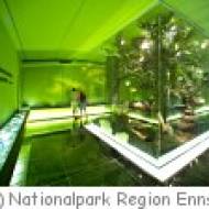 Ennstal Nationalpark Waldwerkstatt Schule Schule im Nationalpark