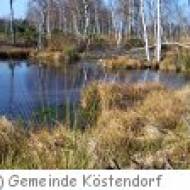Köstendorf Wenger Moor Wenger Moor