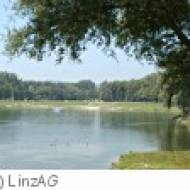 Wanderung zum Pleschingersee in Linz