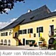 Auer von Welsbach Museum