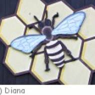Bienenlehrpfad St. Andrä