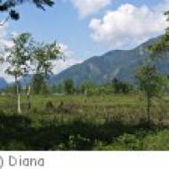 Strobl Wolfgangsee Blinklingmoos Blinklingmoos