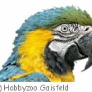 Krottendorf Hobbyzoo Gaisfeld Hobbyzoo Gaisfeld