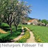 Naturpark Pöllauer Tal Naturpark Pöllauer Tal