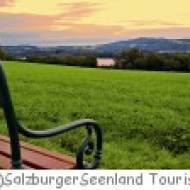 Mattsee Naturpark Buchberg Naturpark Buchberg