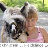 Obertrum Lama Kindergeburtstag Lamawanderung beim Kindergeburtstag